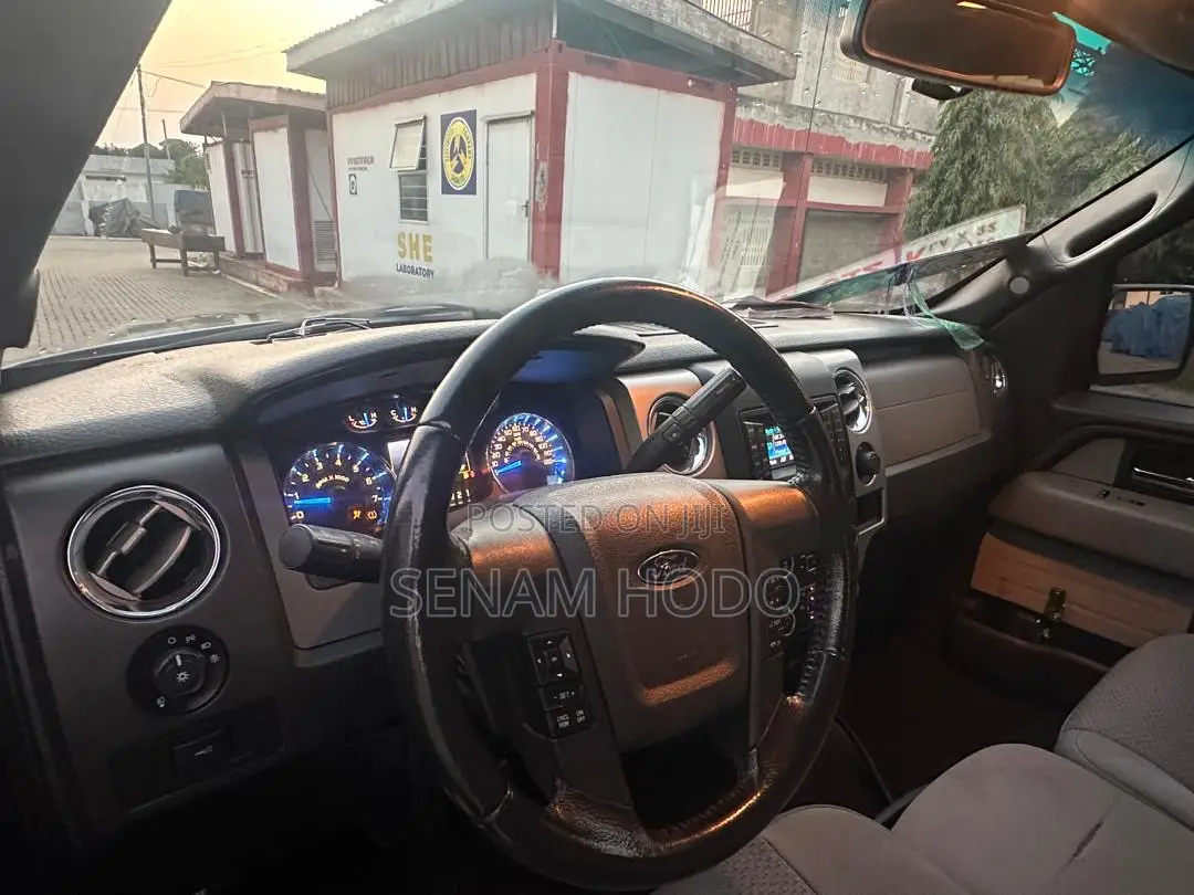 Ford F-150 2013 Gray