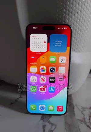 Apple iPhone 15 Pro Max 1 TB Gray