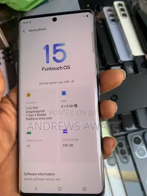 Vivo V40 256 GB Gray