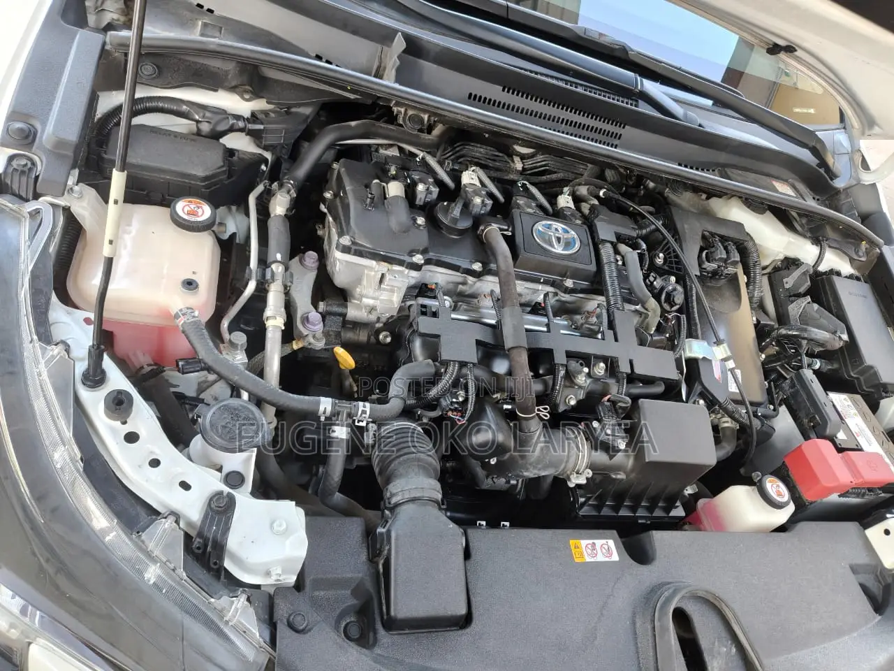 Toyota Corolla Hybrid LE 2023 White