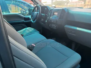 Ford F-150 2019 Gray