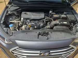 Hyundai Elantra Sport Sedan FWD (1.6L 4cyl 6M) 2017 Gray