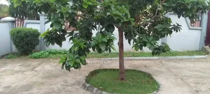 Furnished 4bdrm Mansion in Awoshie-Anyaa, Last Stop for rent
