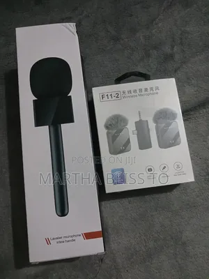 Wireless Lapel Microphone + Microphone Stick
