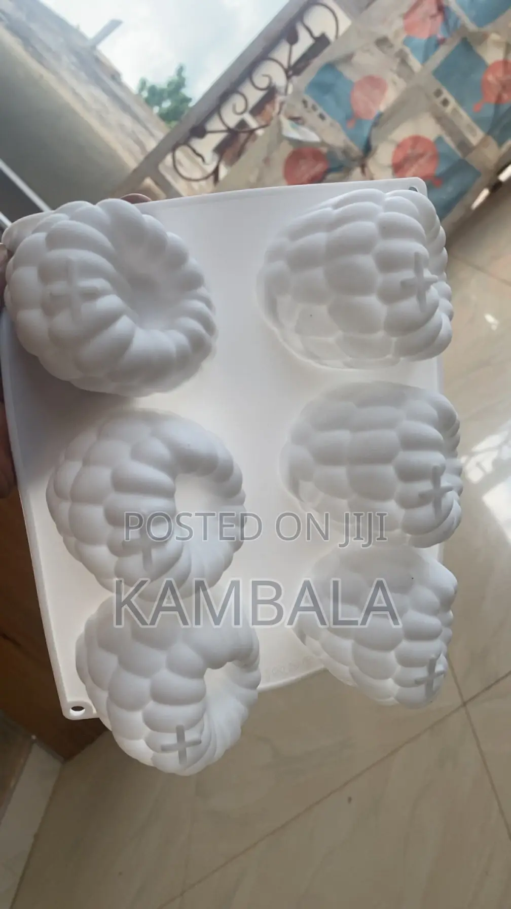 Fruit Pops Molds