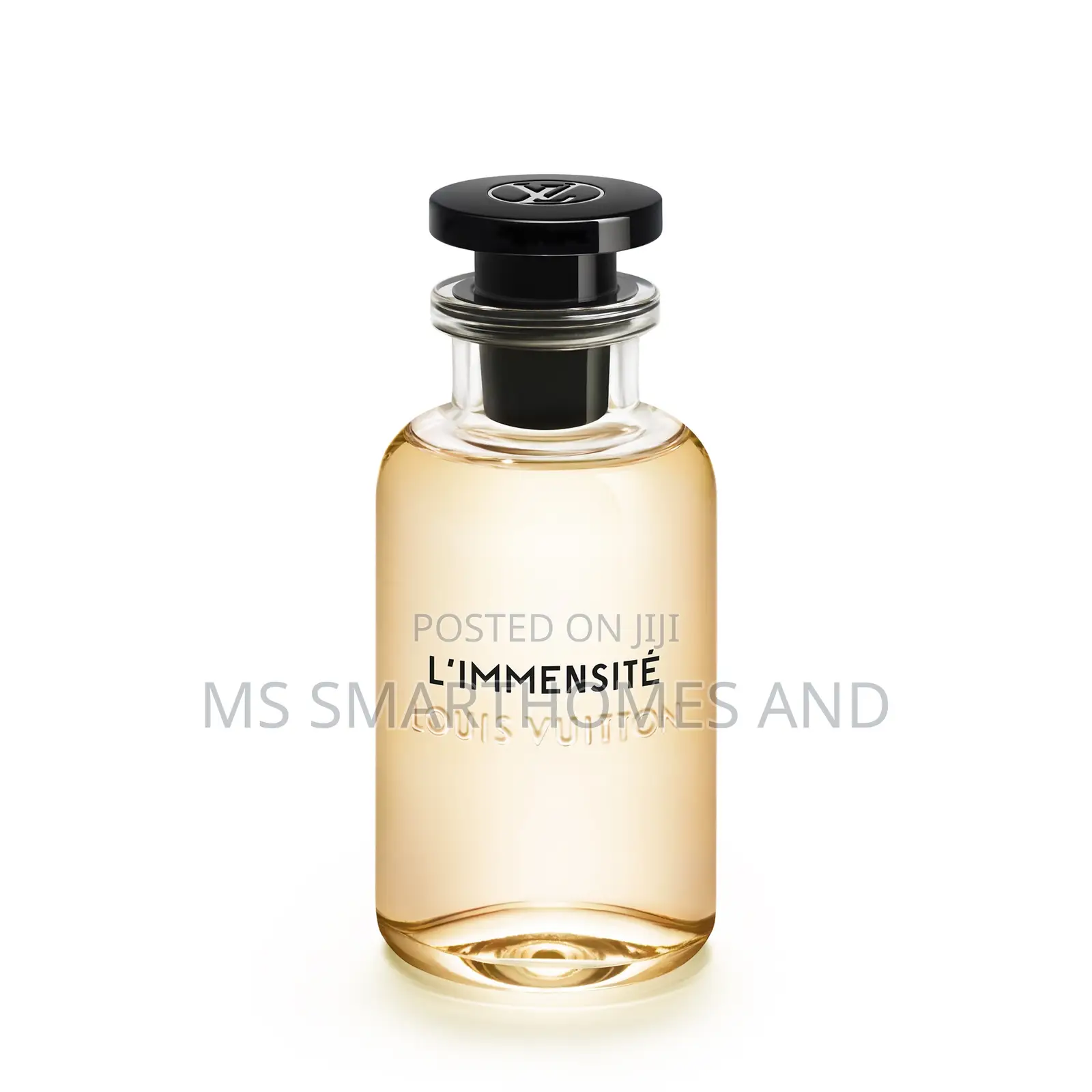l'Immensité