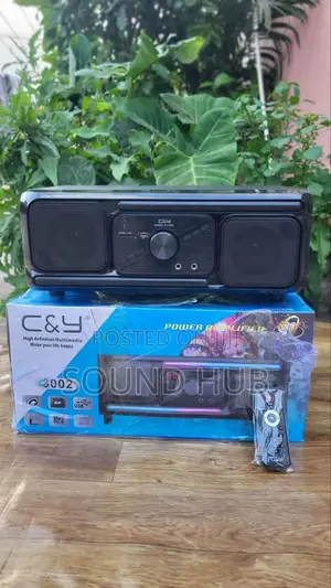 C Y Multimedia Sound System