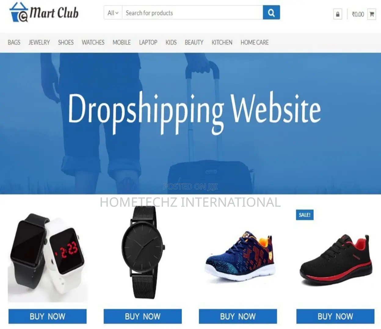Let's Start Your DropShipping Wealth Company and Your Other AI Income