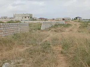 Land With Endless Possibilities - State House