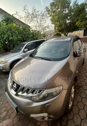 Nissan Murano S 2009 Gray