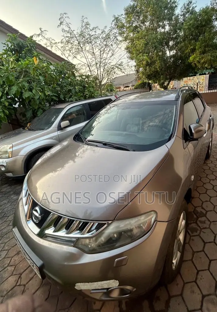 Nissan Murano S 2009 Gray