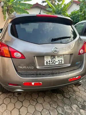 Nissan Murano S 2009 Gray