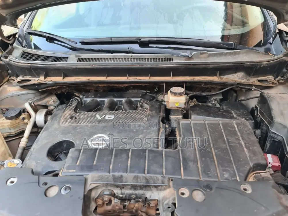 Nissan Murano S 2009 Gray