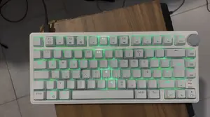 Gaming / Mechanical Keyboard