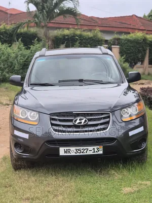 Hyundai Santa Fe 2010 Gray