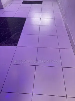 Deep Cleaning