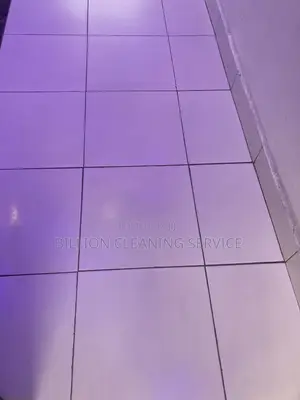 Deep Cleaning