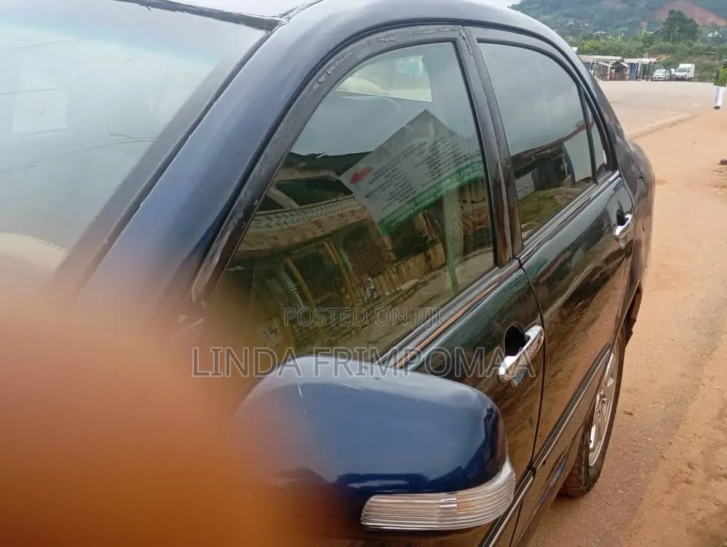 Toyota Corolla LE 2007 Blue
