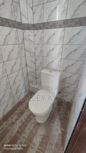 2bdrm Apartment in Expert Apartments, Ashomang Estate for rent