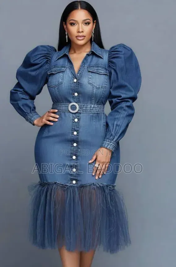 Xpluswear Design Denim Midi Dress