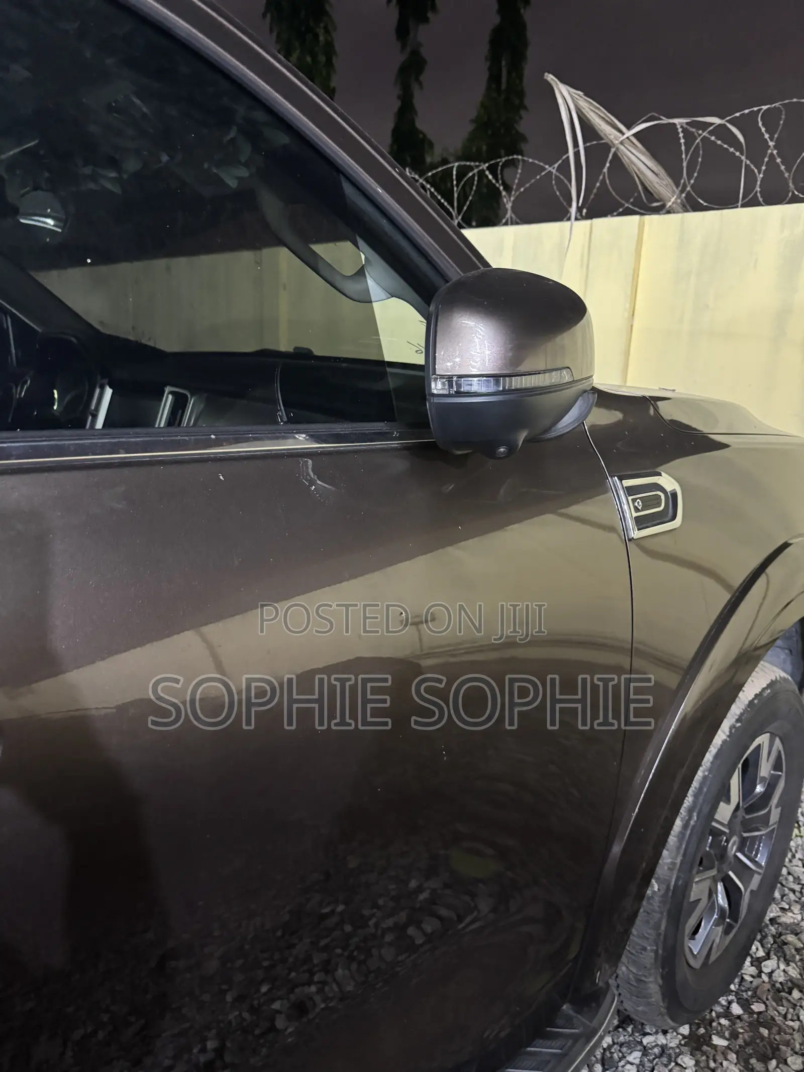 Great Wall Pao 2.0 Petrol AWD 2020 Brown