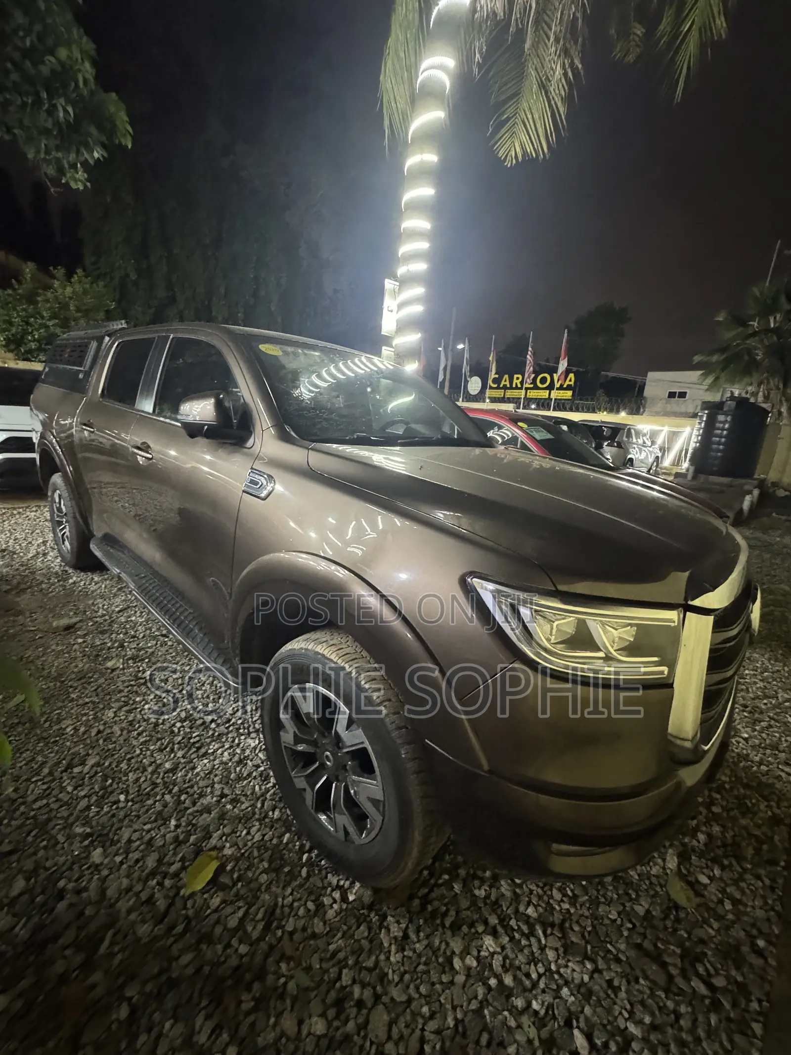 Great Wall Pao 2.0 Petrol AWD 2020 Brown