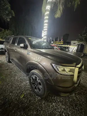 Great Wall Pao 2.0 Petrol AWD 2020 Brown