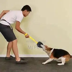 Dog Bute Tug