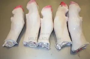 Frozen Cow Feet