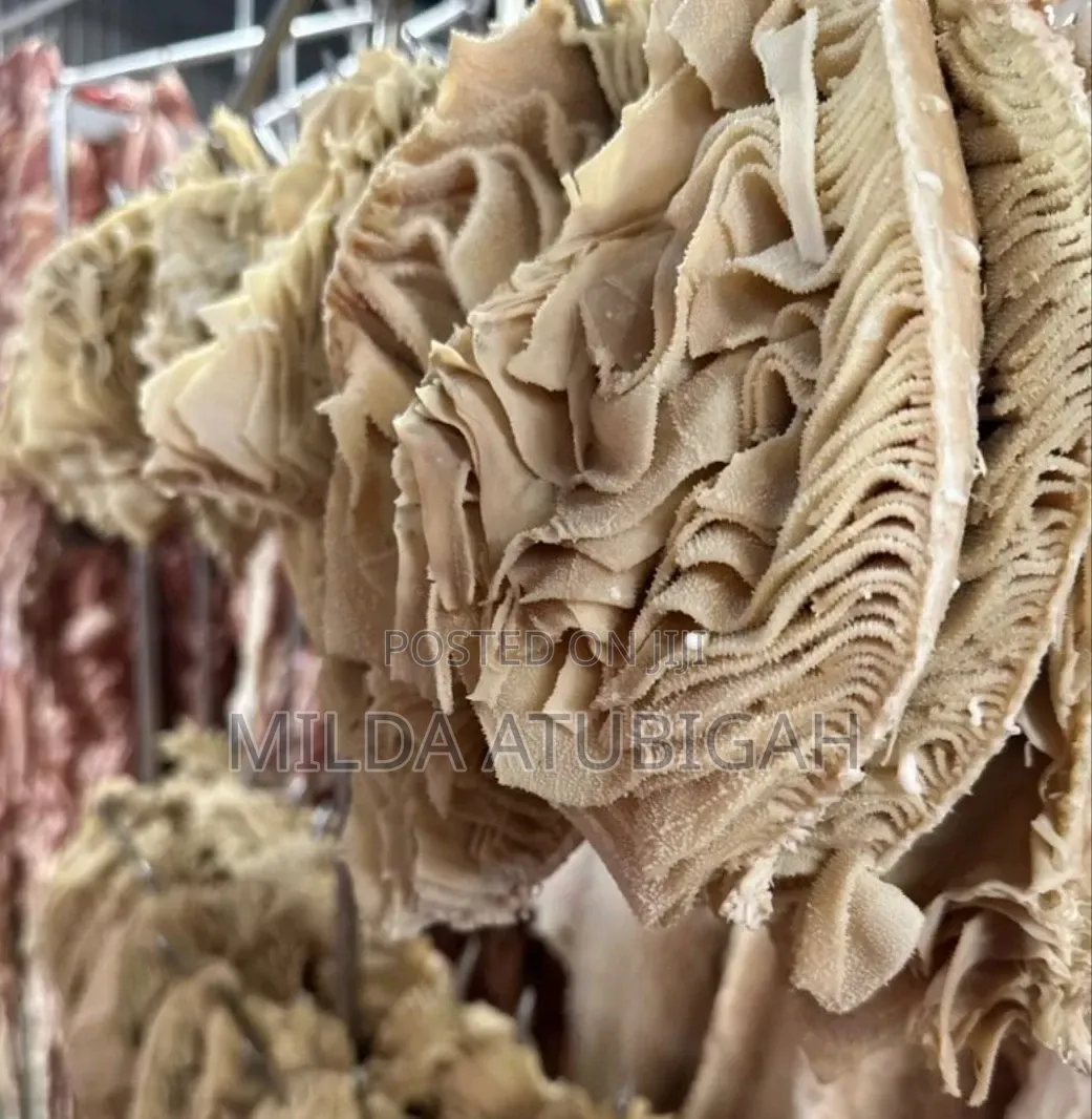 Frozen Intestines