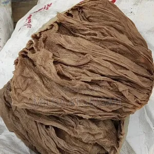 Frozen Intestines