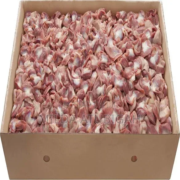 Frozen Gizzard