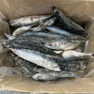 Frozen Fish (Kpanla)