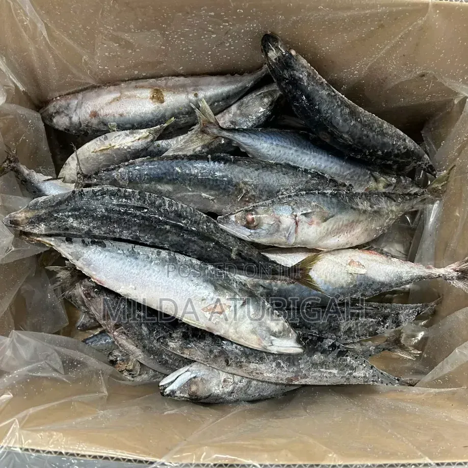 Frozen Fish (Kpanla)