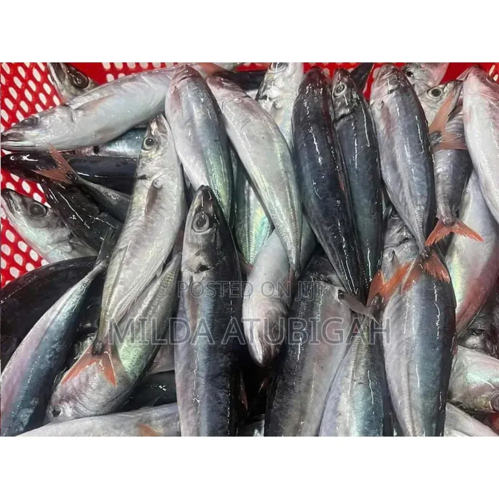 Frozen Fish (Kpanla)