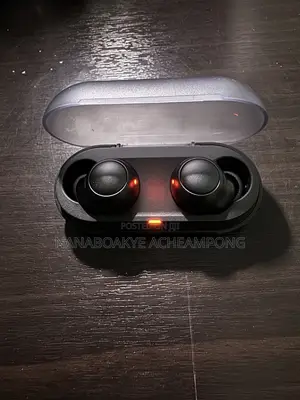 Original Sony Earbuds