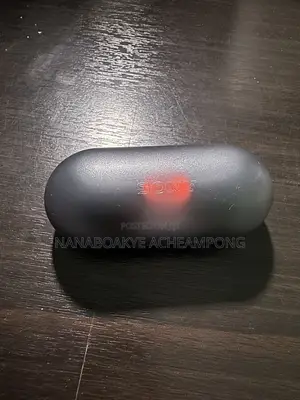 Original Sony Earbuds