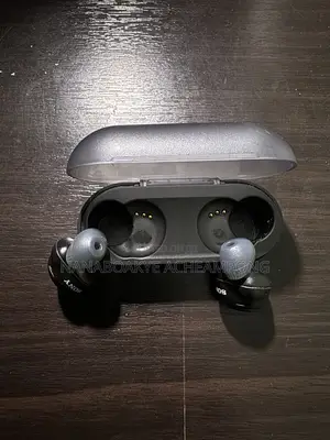 Original Sony Earbuds