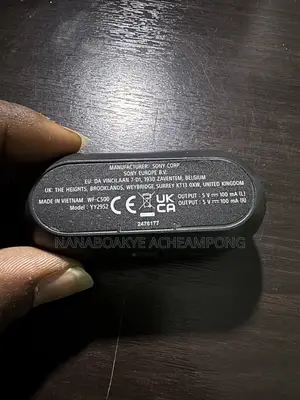 Original Sony Earbuds