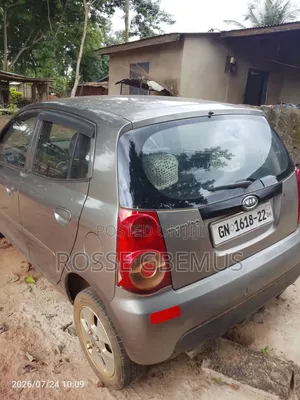 Kia Morning 2010 Gray