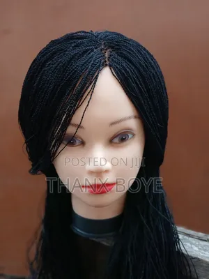 Braided Mini Twist Wig