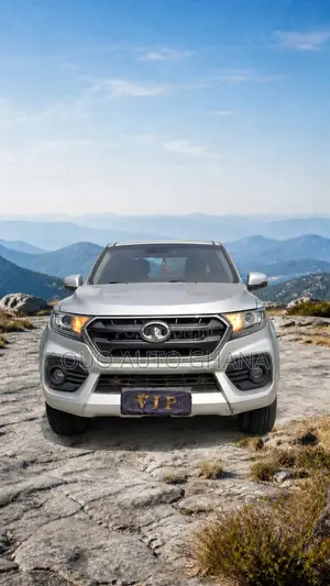 Great Wall Wingle 2020 Gray