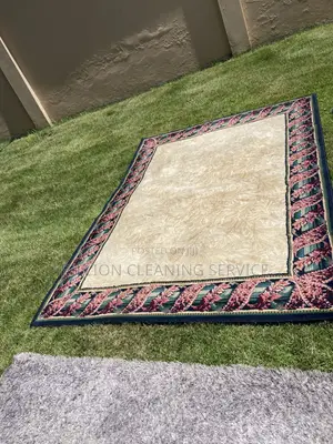 Carpet Cleaning Professionals