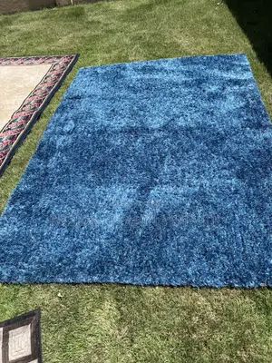 Carpet Cleaning Professionals