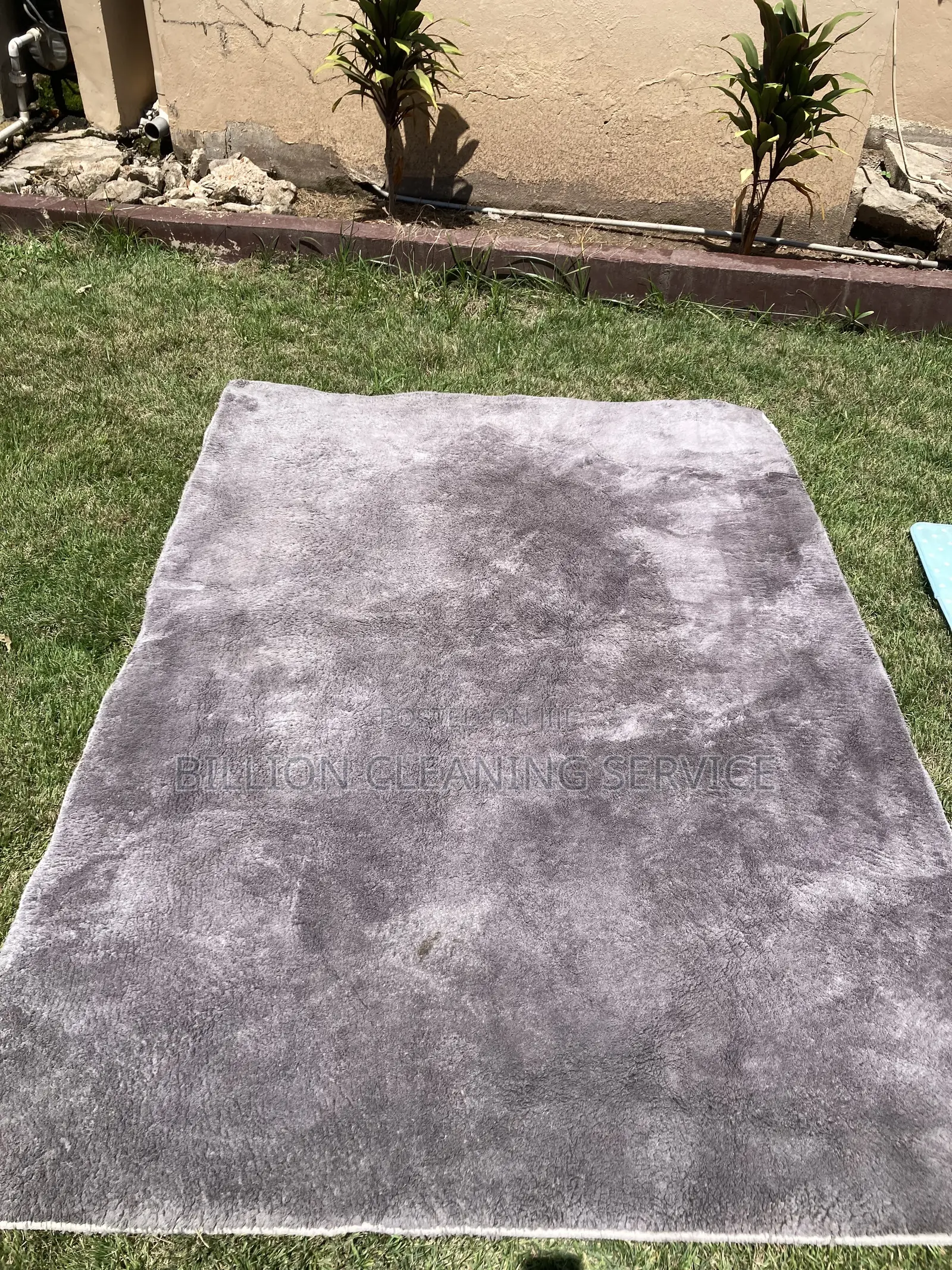 Carpet Cleaning Professionals