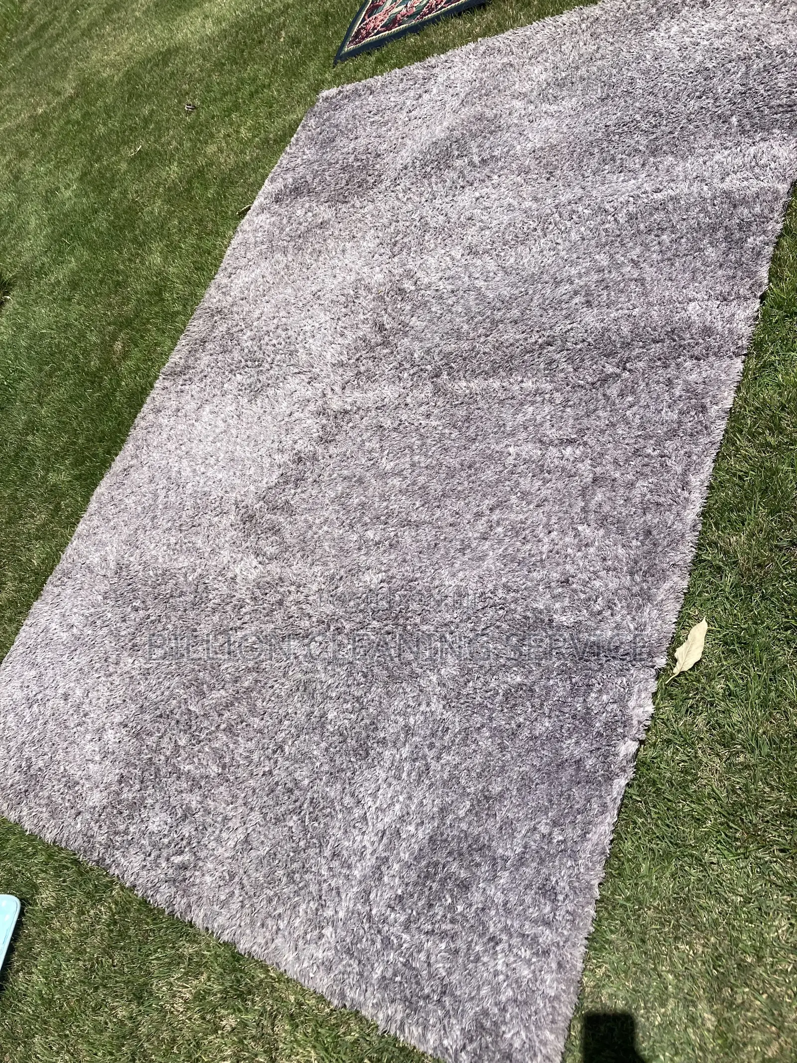 Carpet Cleaning Professionals