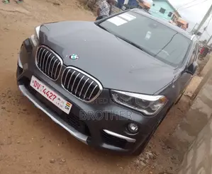 BMW X1 2017 Gray