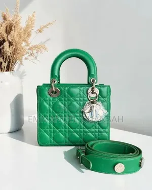 Dior Iconic Handbag