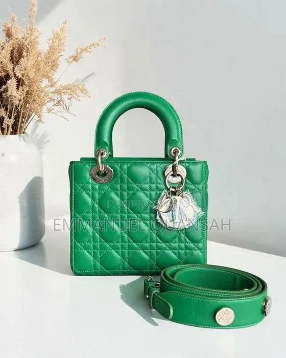 Dior Iconic Handbag
