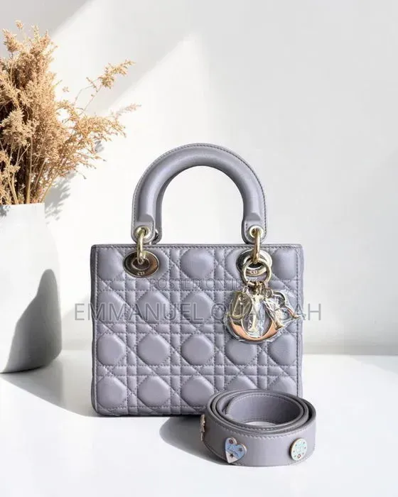 Dior Iconic Handbag